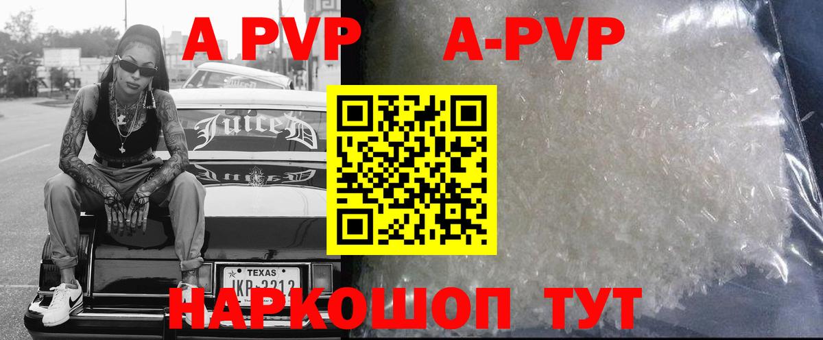 Alfa_PVP СК Чайковский