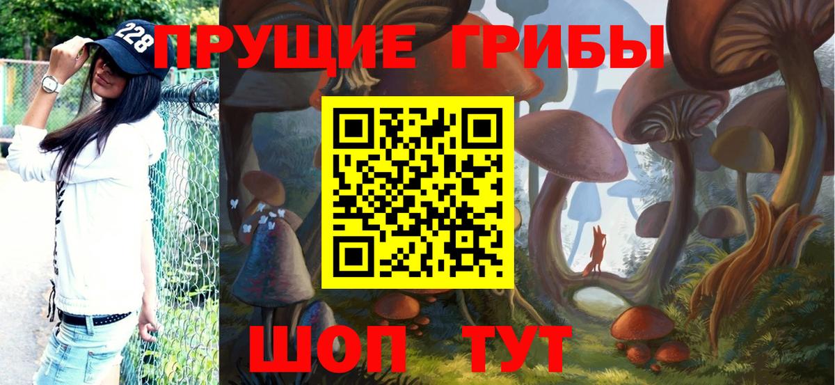 Чайковский  Псилоцибиновые грибы мухоморы  Псилоцибиновые грибы Psilocybine cubensis  продажа наркотиков  Вход с VPN 